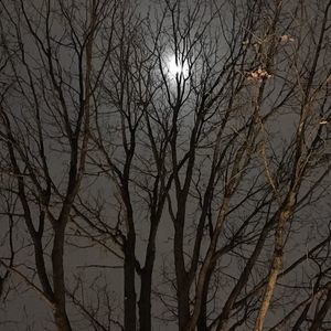 Meet your Posher, Swati